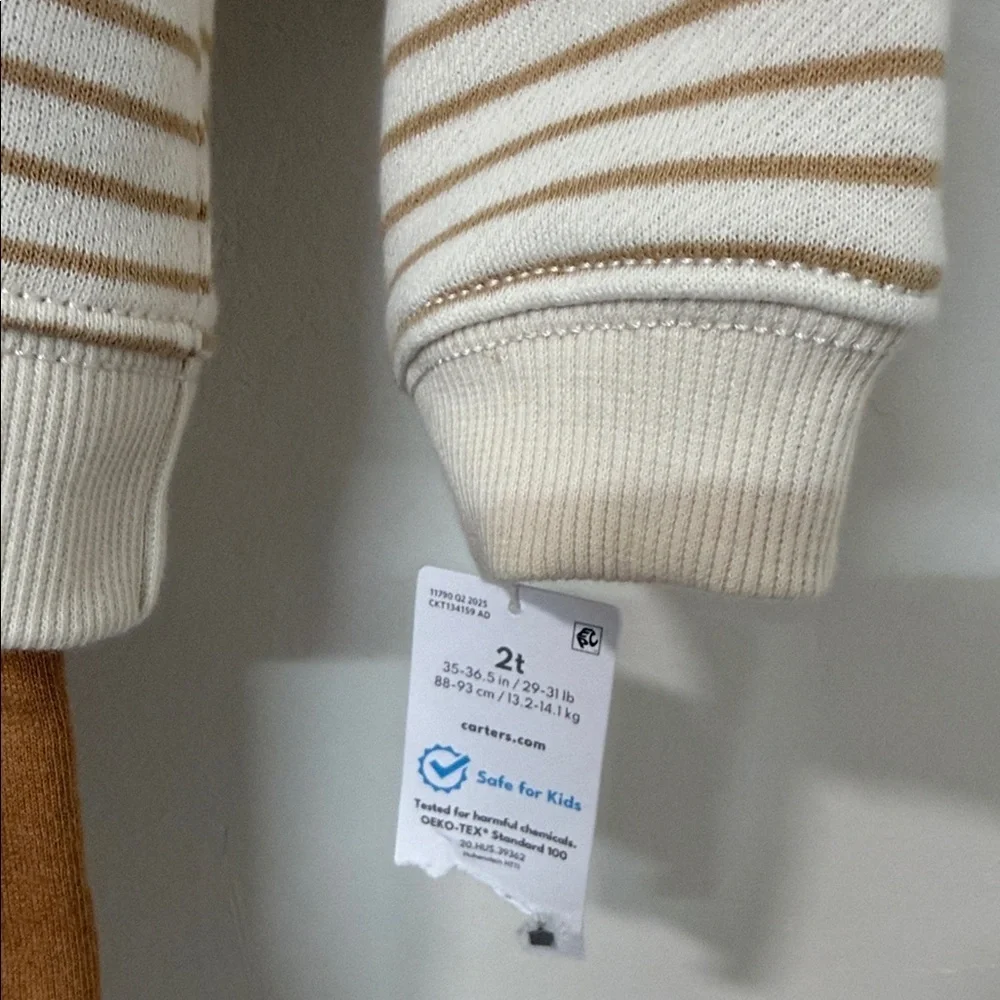 Carter's Cream and Brown Striped Dinosaur Hoodie Set
